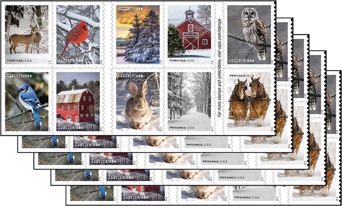 Winter 202, 5 sheet of 20, 100 pcs