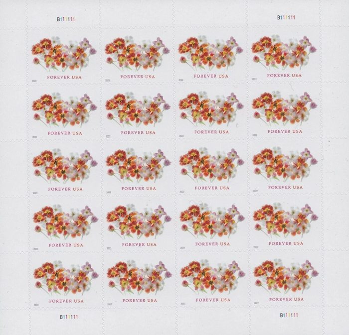 2022 Tulips 5 Booklets 100plp
