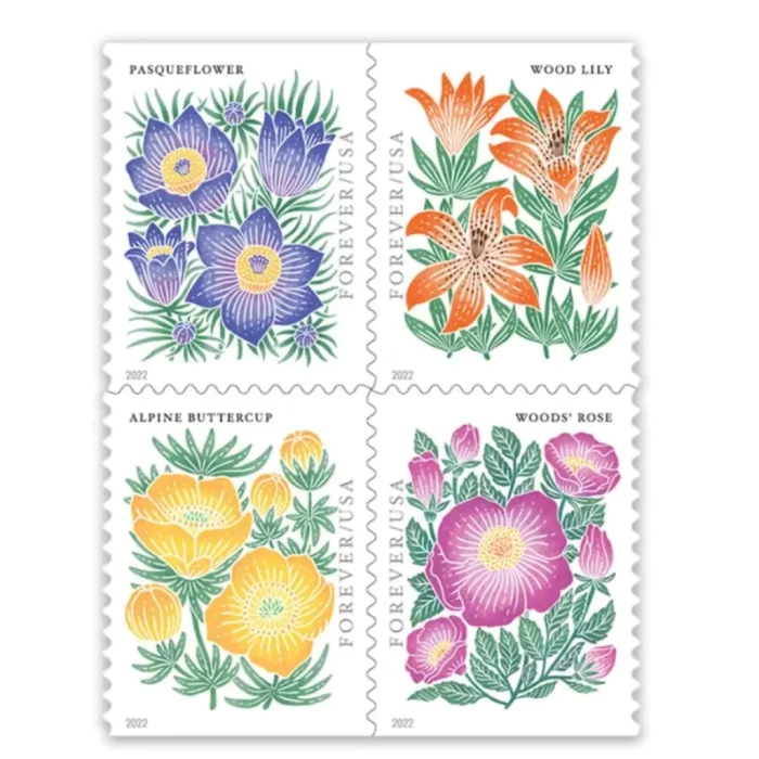 2022 Mountain Flora Wild Flower 5 Booklets 100pcs