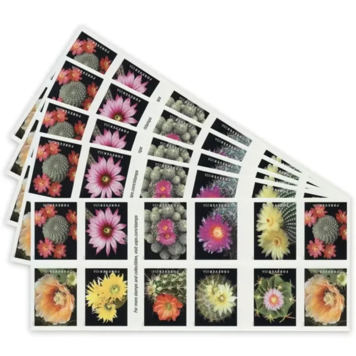 2019 Cactus Flowers 5 Booklets 100pcs