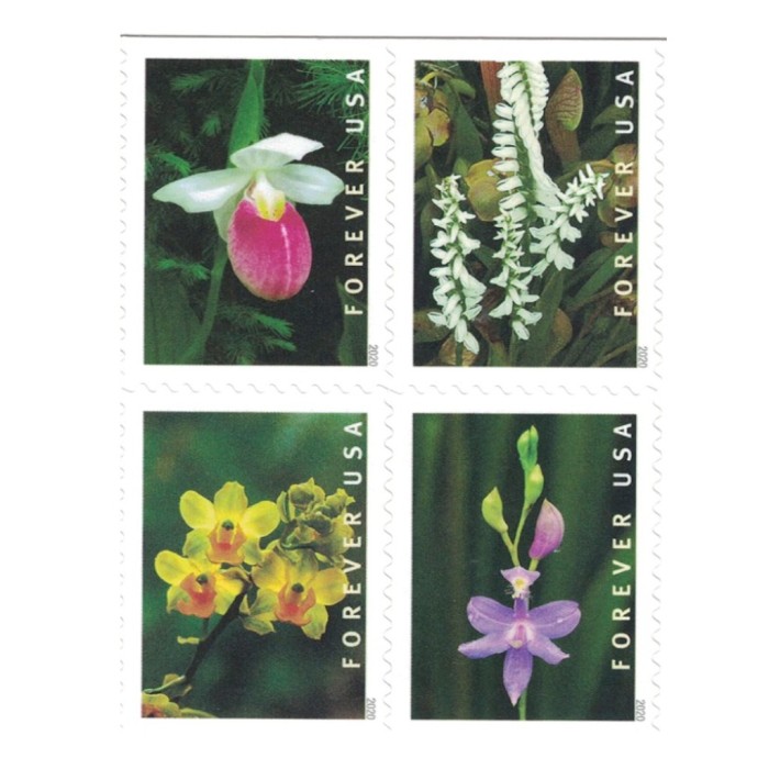 2020 Wild Orchids 5 Booklets 100pcs