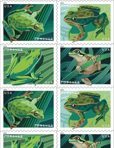 2019 frogs 5 Booklets 100pcs