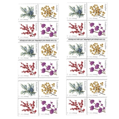 2019 Winter Berries 5 Booklets 100pcs