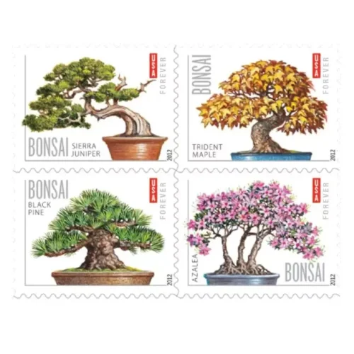 2012 Bonsai Tree 5 Booklets 100pcs