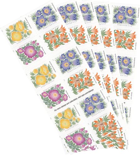 2022 Mountain Flora Wild Flower 5 Booklets 100pcs