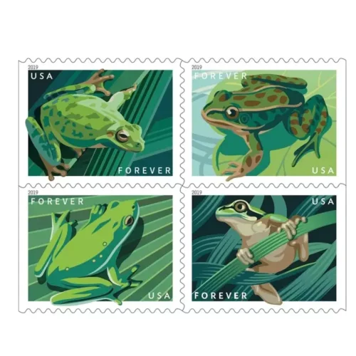 2019 frogs 5 Booklets 100pcs