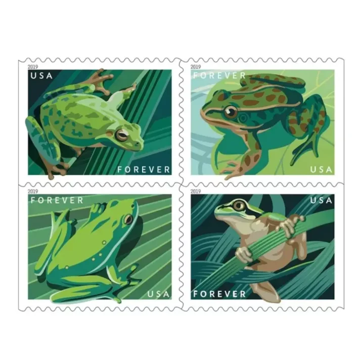2019 frogs 5 Booklets 100pcs