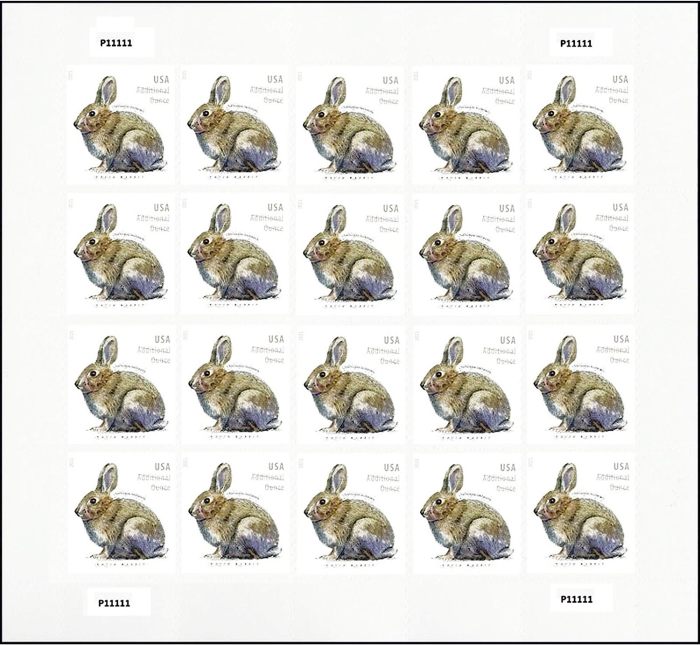 Brush Rabbit, Additional Ounce, 5 sheet of 20, 100 pcs