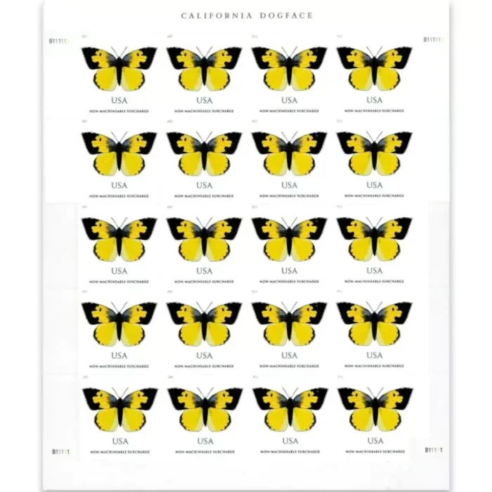 2019 California Dogface Butterfly  5 Booklets 100pcs