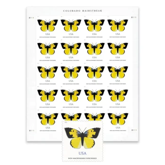 2019 California Dogface Butterfly  5 Booklets 100pcs
