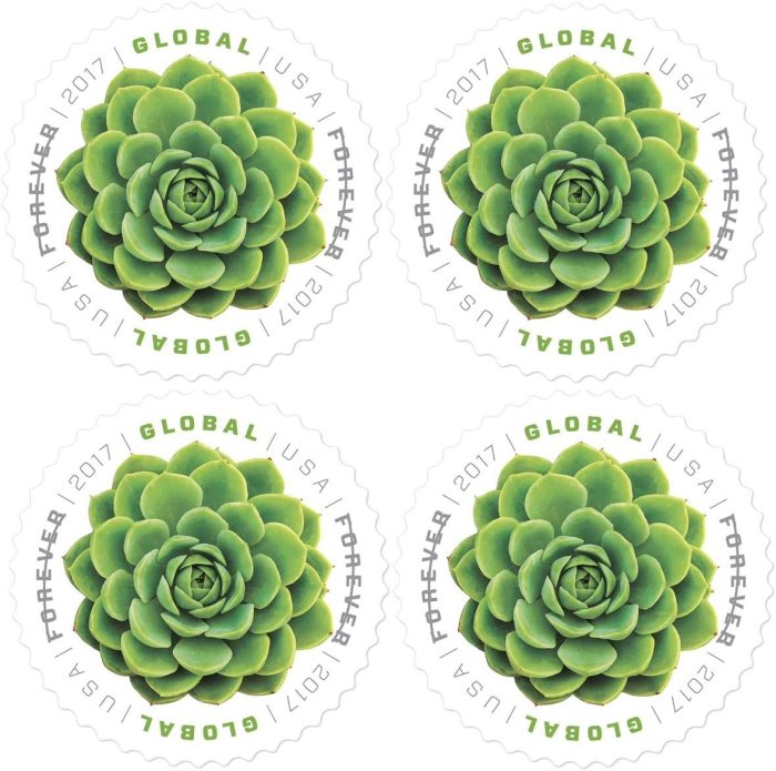 2018  Global Green Succulent 10 Booklets 100pcs