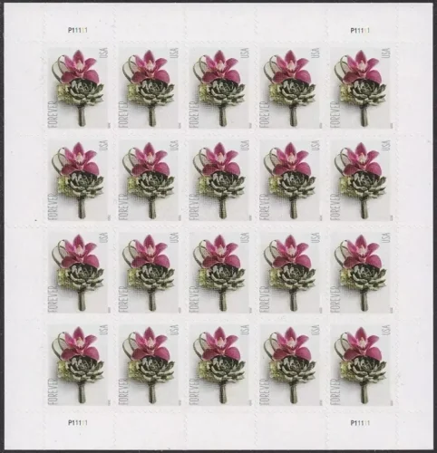 2020 Contemporary Boutonniere 5 Booklets 100pcs