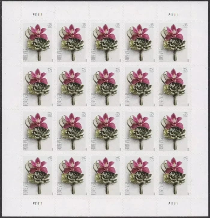 2020 Contemporary Boutonniere 5 Booklets 100pcs
