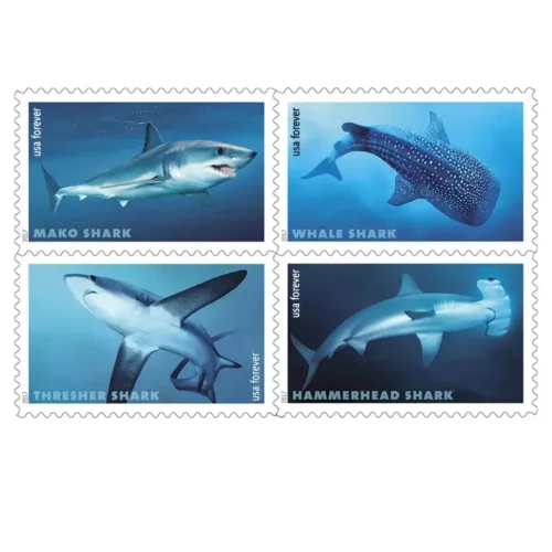 Sharks 2017, 5 Booklets 100pcs