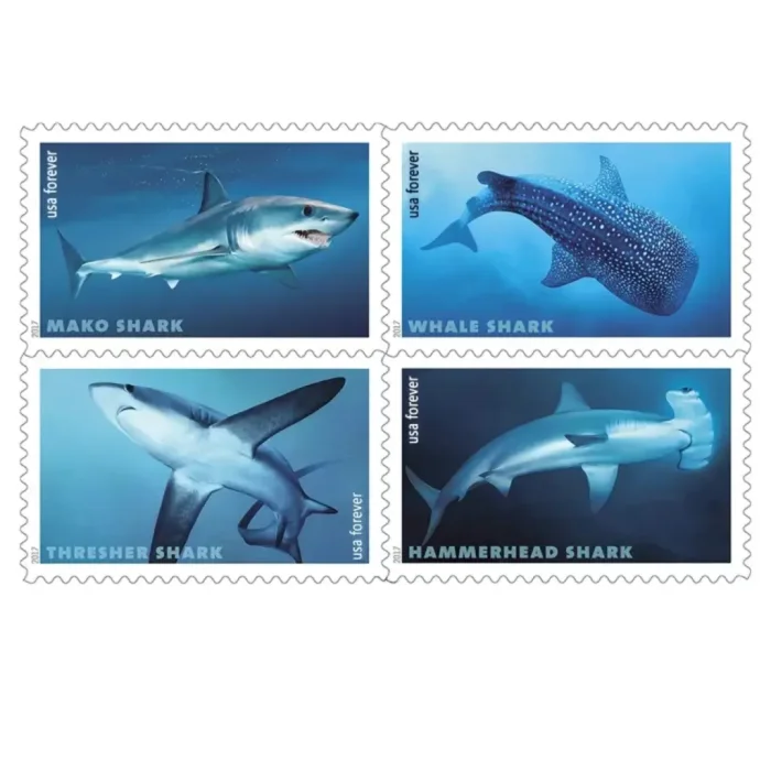 Sharks 2017, 5 Booklets 100pcs
