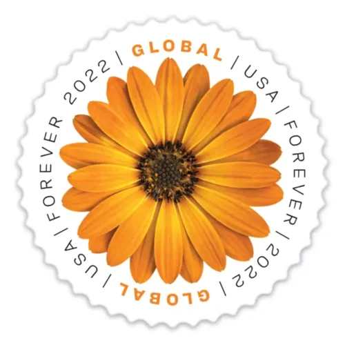 2022 Global African Daisy 10 Booklets 100pcs