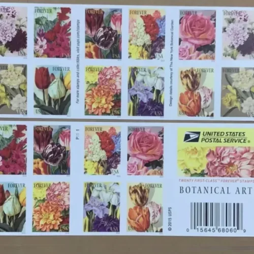 Botanical art 5 booklets 100pcs