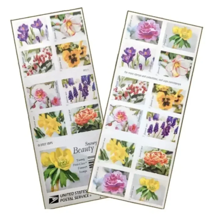 2023 snow beauty 5 books 100pcs