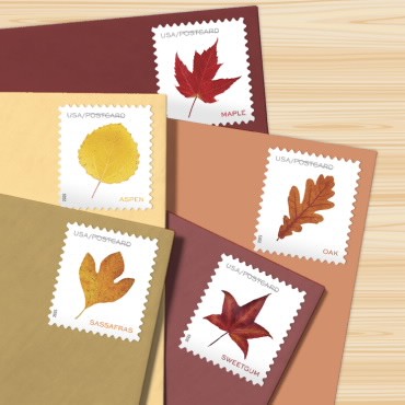 Vibrant Leaves Postcard, 5 sheets of 20, 100pcs