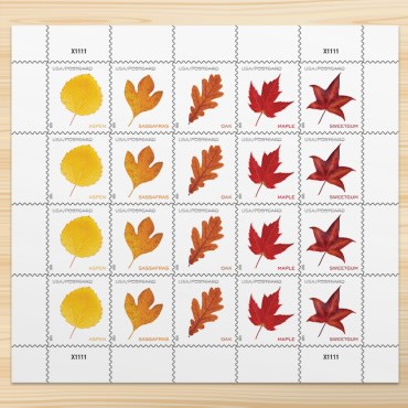 Vibrant Leaves Postcard, 5 sheets of 20, 100pcs