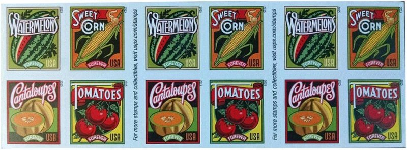 2015  Summer Harvest 5 Booklets 100pcs