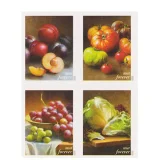 2020 Fruit and Vegetables 5 Booklets 100pcs