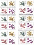 2019 Winter Berries 5 Booklets 100pcs