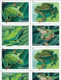 2019 frogs 5 Booklets 100pcs