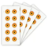 2022 Global African Daisy 10 Booklets 100pcs