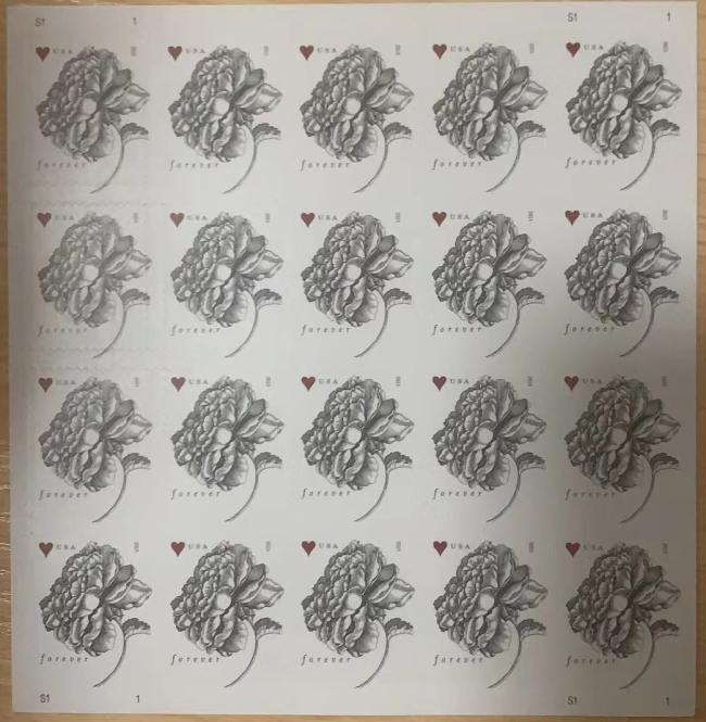 roses 5 Books of 20pcs  total 100pcs