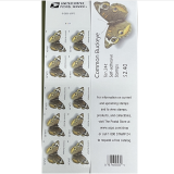 Common Buckeye 10 Books of 10, 100pcs