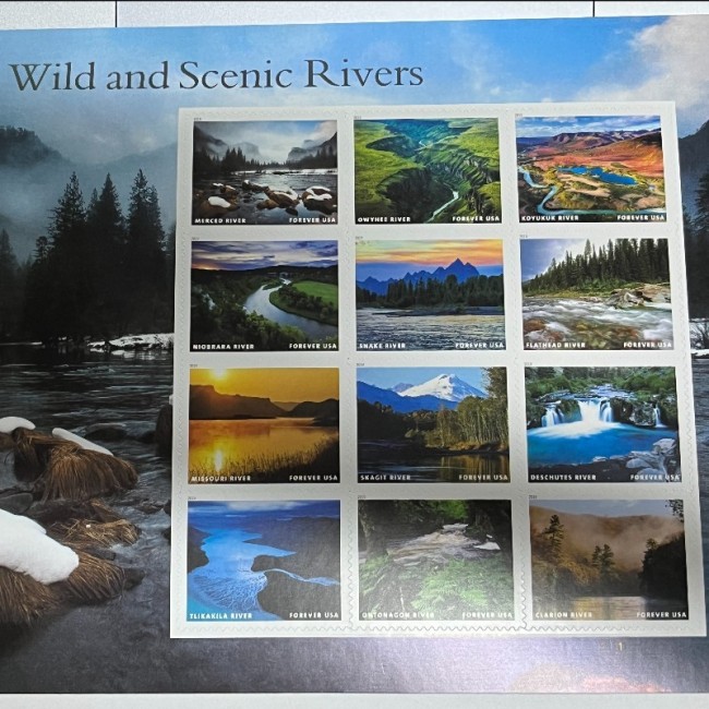 Wild and Scenic Rivers 8 sheets of 12, 96pcs