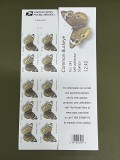 Common Buckeye 10 Books of 10, 100pcs