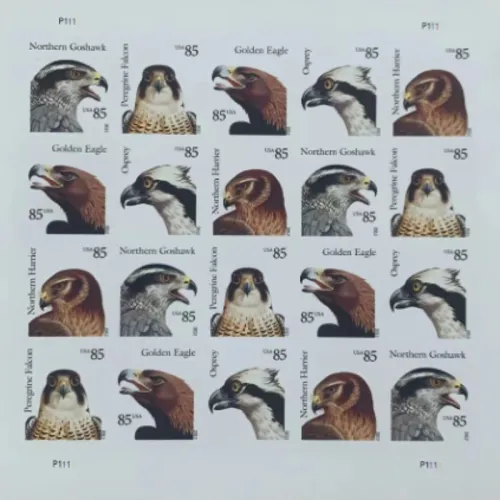 2012 Eagles, 85C, 5 sheets of 20PCS, total 100pcs