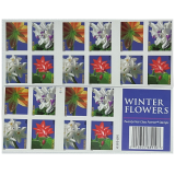 2014 winter flowers 5 books of 20PCS, total 100pcs