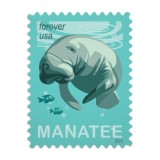 2024 Save Manatees 5 books of 20PCS, total 100pcs