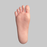 WAXDOLL 新ボディー175cm Eカップ GE78-1 フルシリコン製ドール 掲載画像は硬めシリコンヘッド