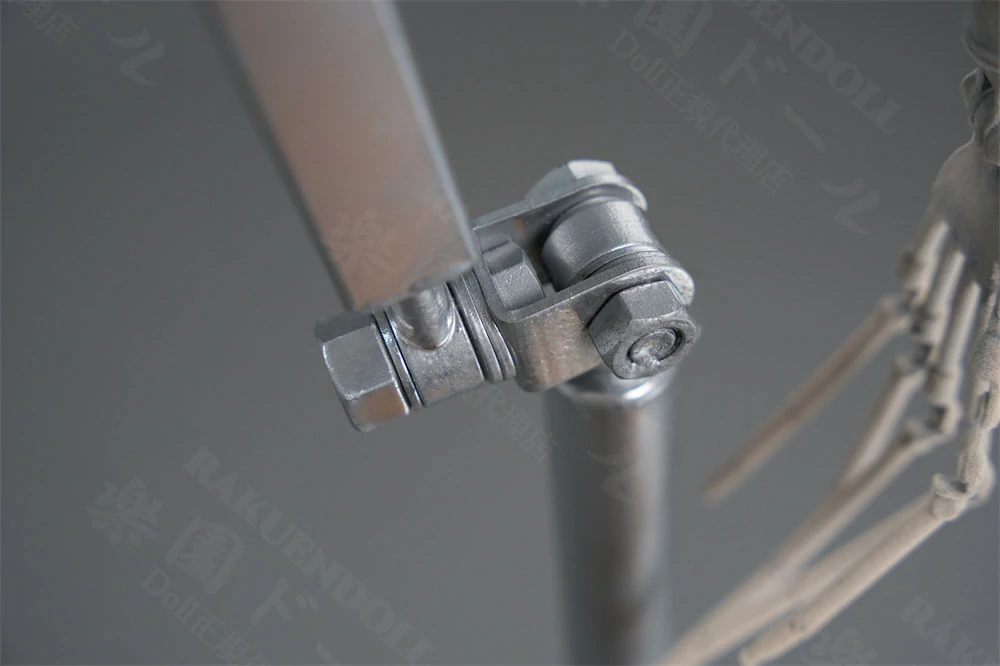 TOP-CYdoll 骨格·関節 細部1 ダッチワイフ