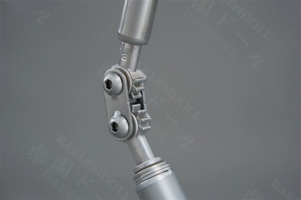 TOP-CYdoll 骨格·関節 細部2 リアルドール