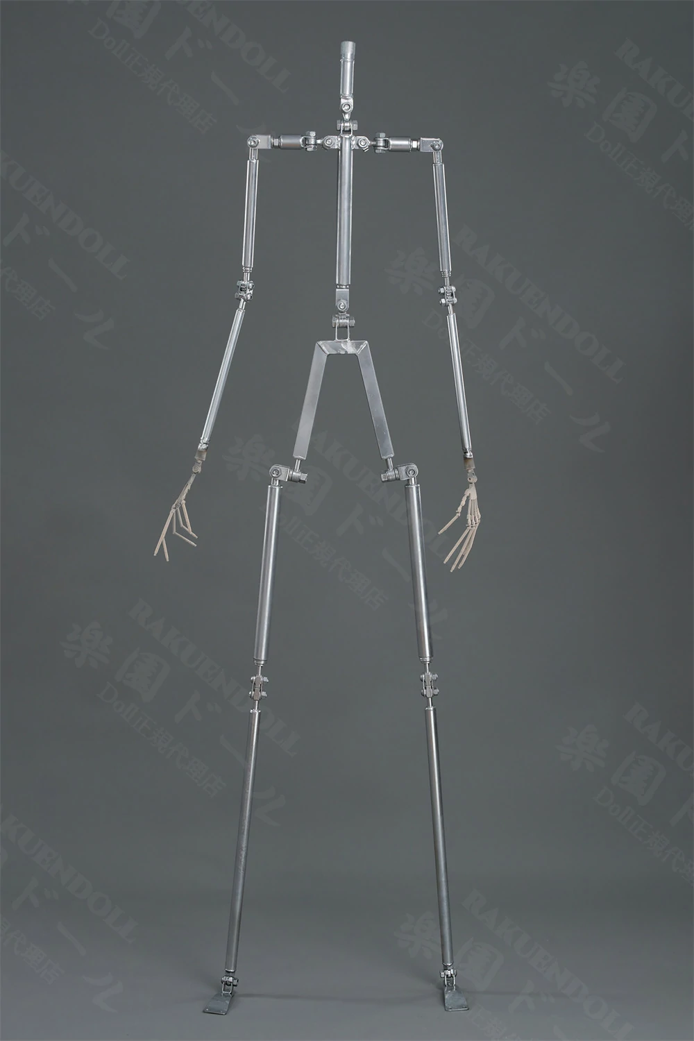 TOP-CYdoll 骨格·関節 細部1 ラブドール展示