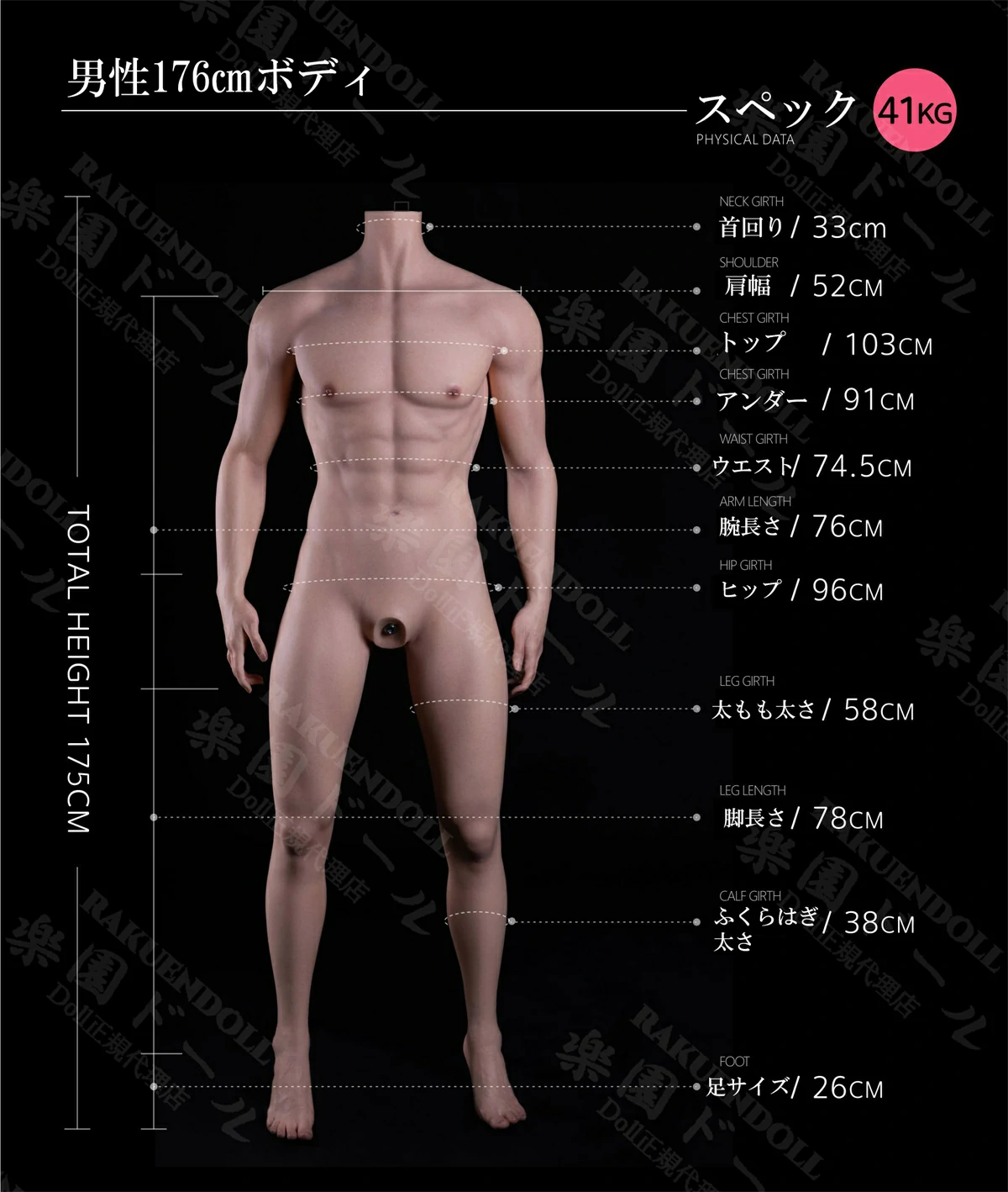 蛍火日記 ペニス選択可 176ボディーサイズ ラブドール