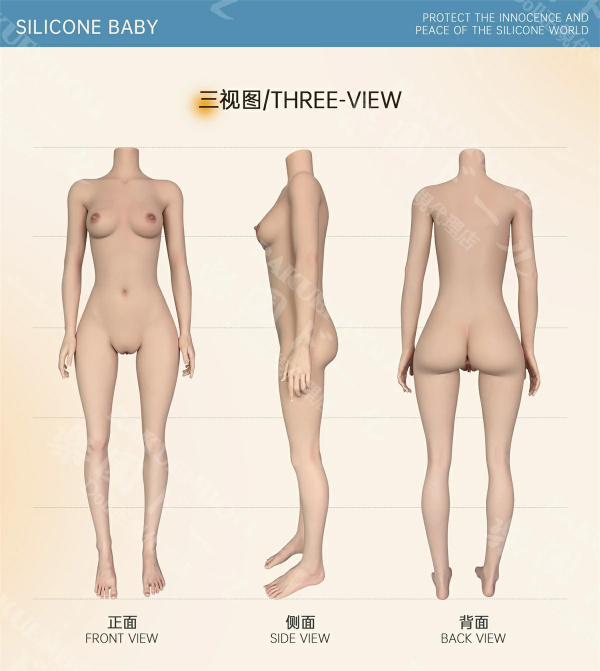 159cm ラブドール YFdoll 三面図