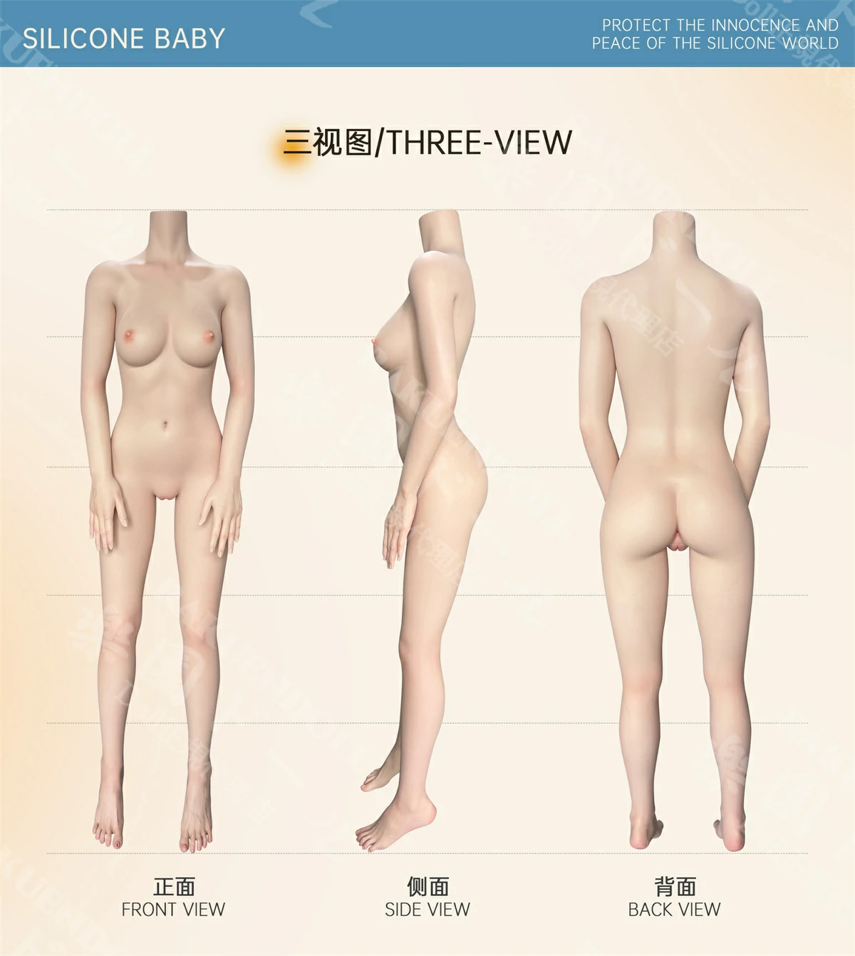 150cm ラブドール YFdoll 三面図