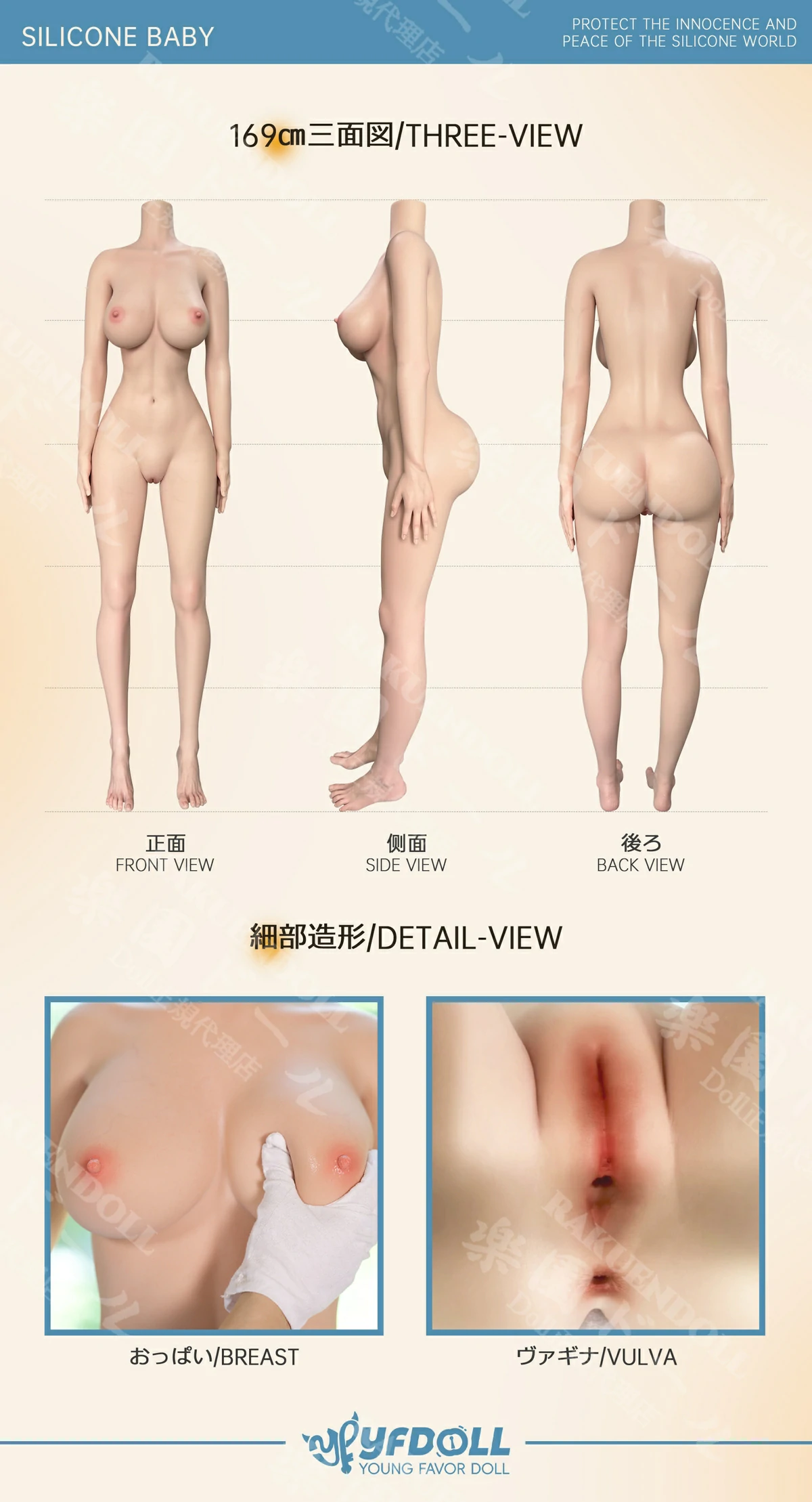 169cm ダッチワイフ YFdoll 三面図