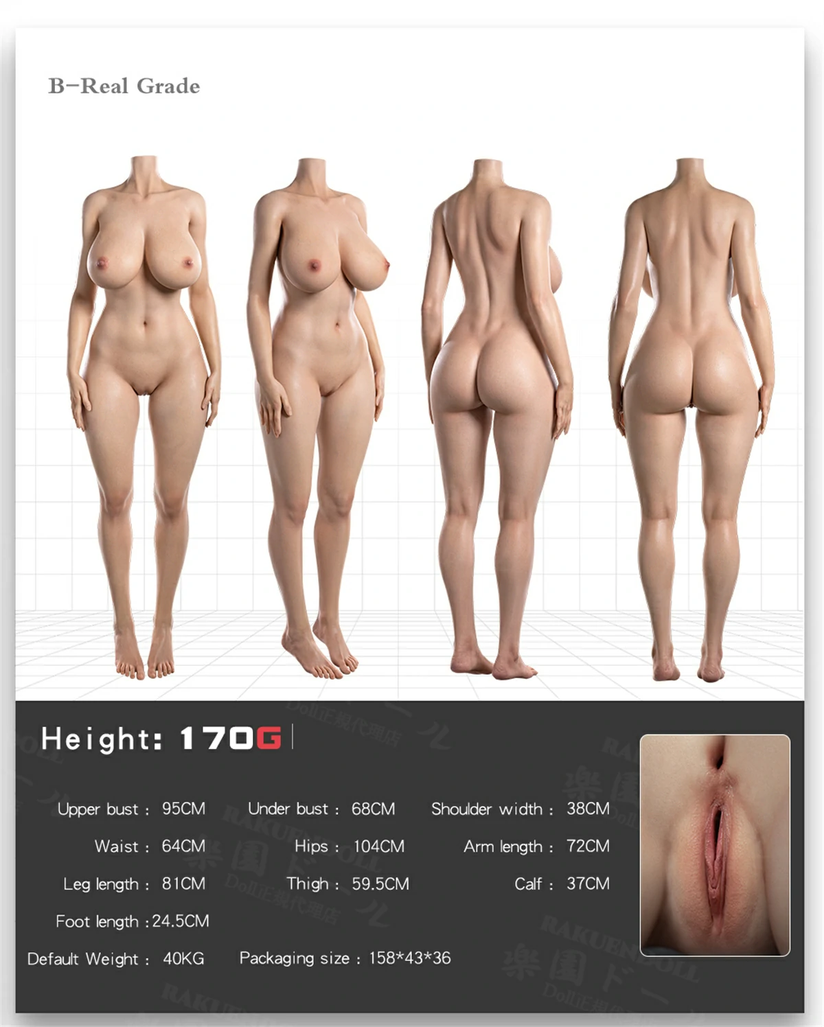 170cmG·Hカップ dollenior 三面図 全裸ラブドール リアル皮膚付きボディ