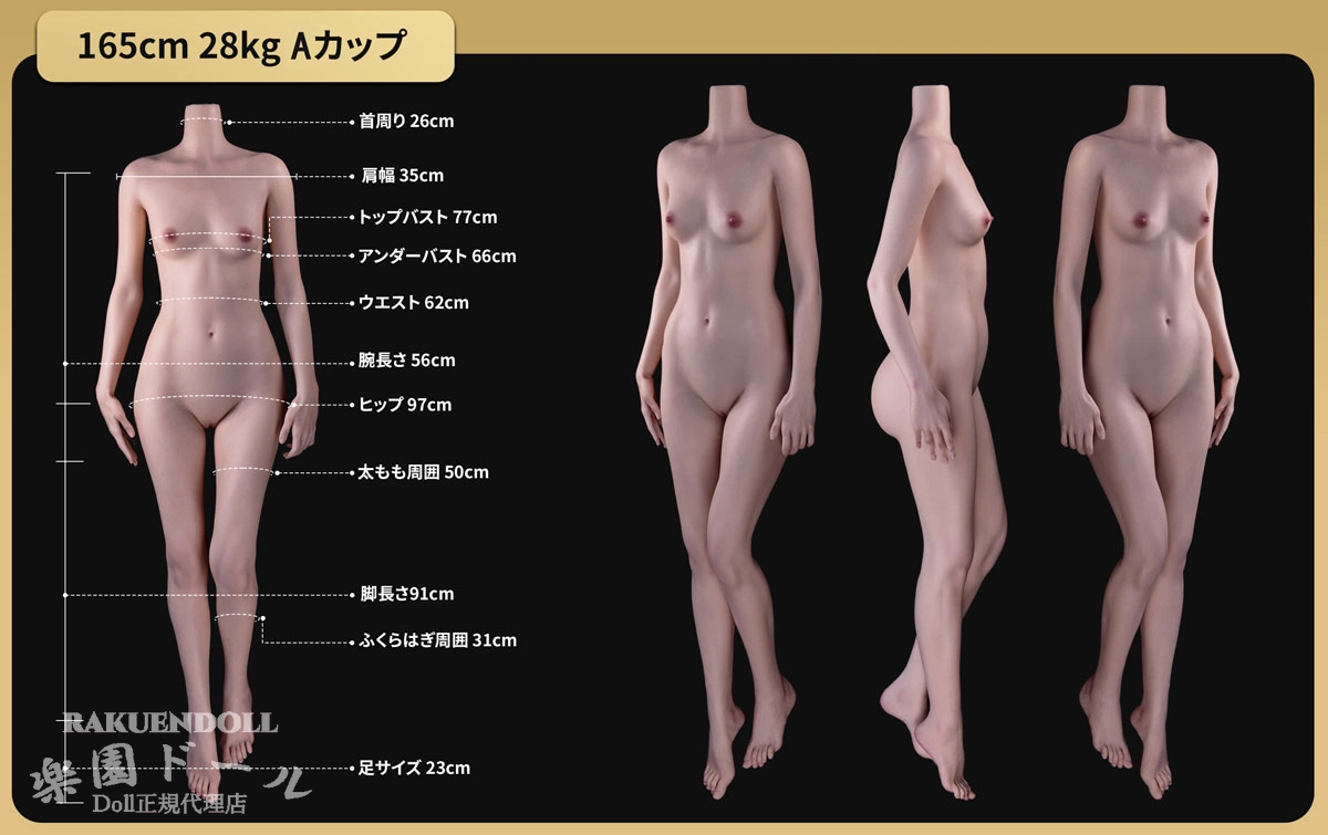 K-DIVA 165cm Aカップ ラブドール ボディ三面図