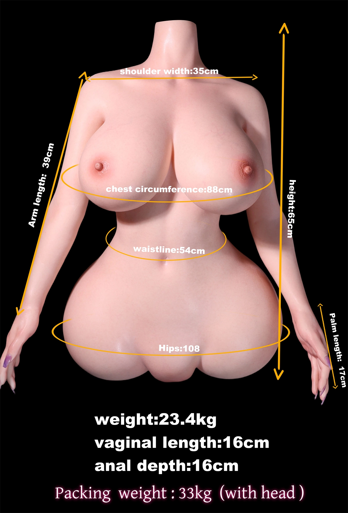 低身長使いやすい 85cm 爆乳リアルドール トルソー MD DOLL