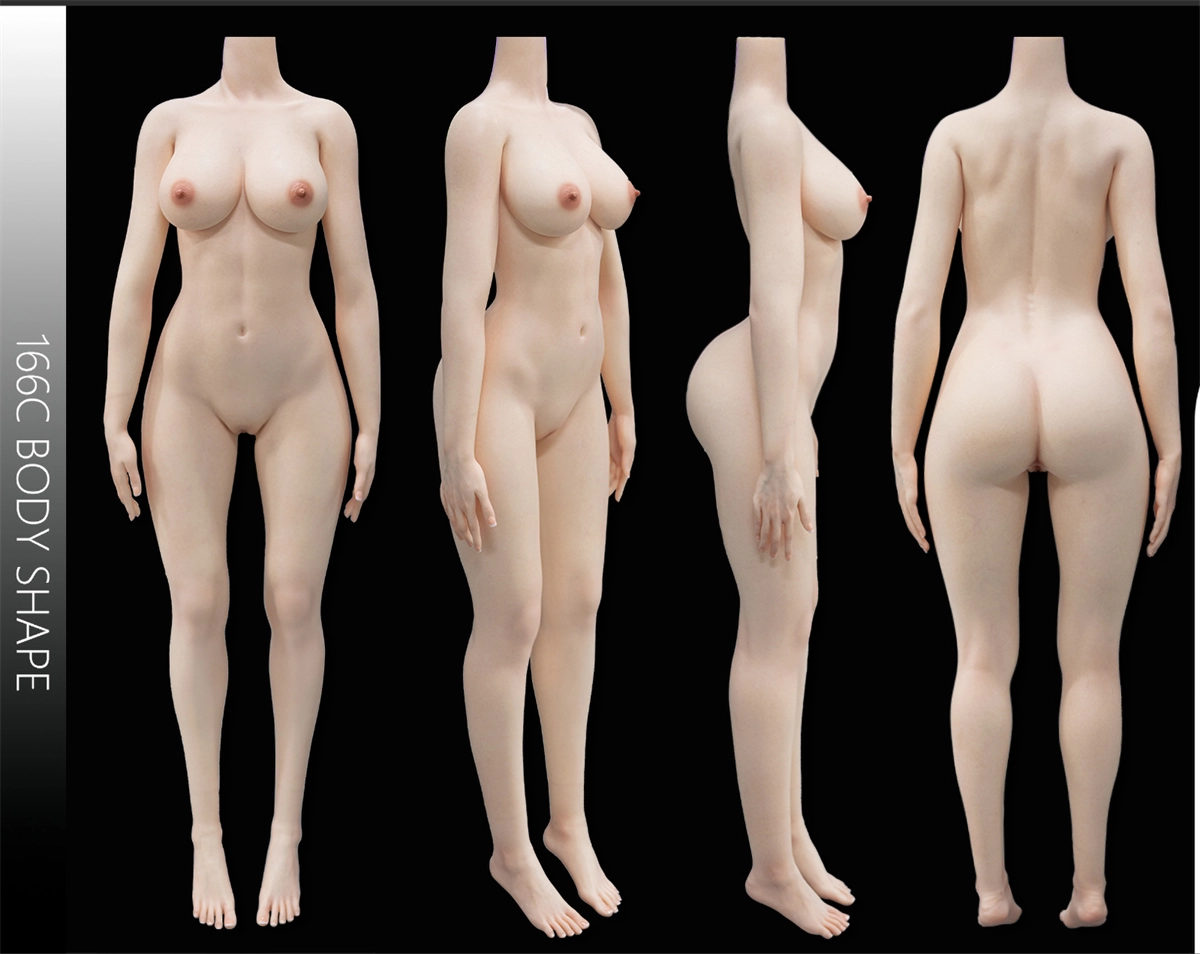 リアルドール 166cm Dカップ CPDOLL ボディ三面図