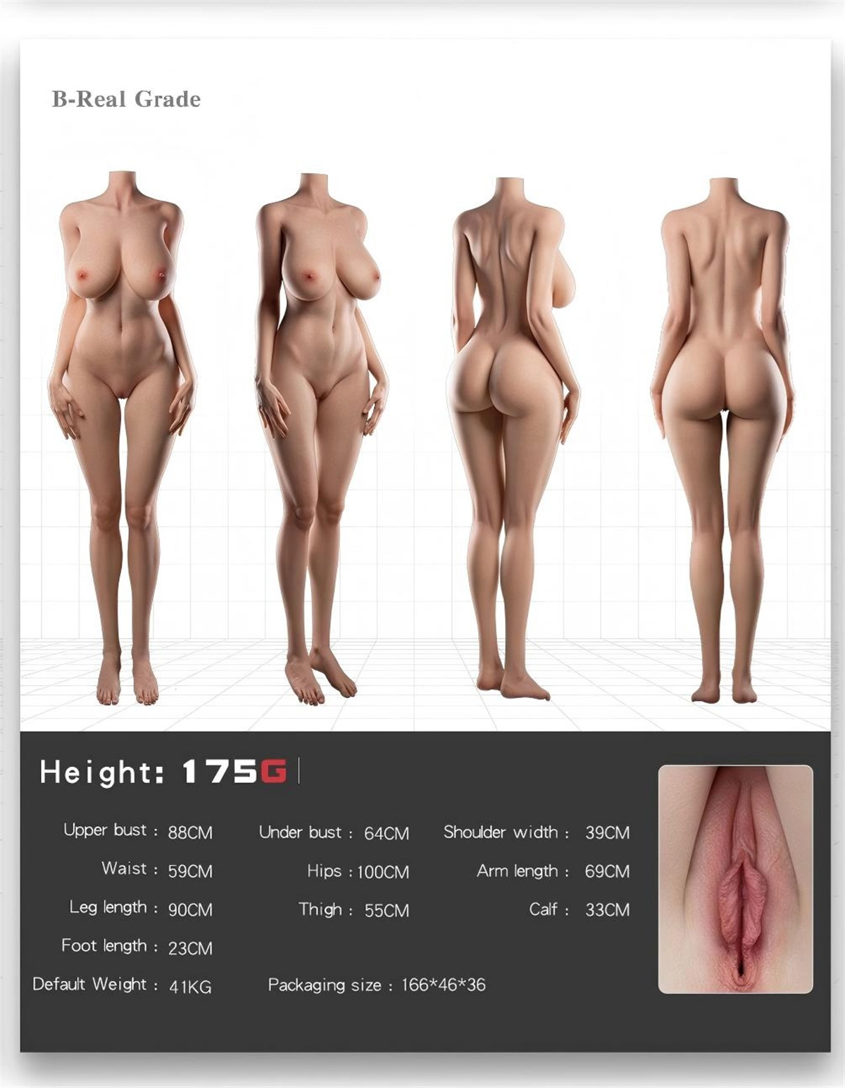 ラブドール Doll Senior 175cm Gカップ ボディ三面図