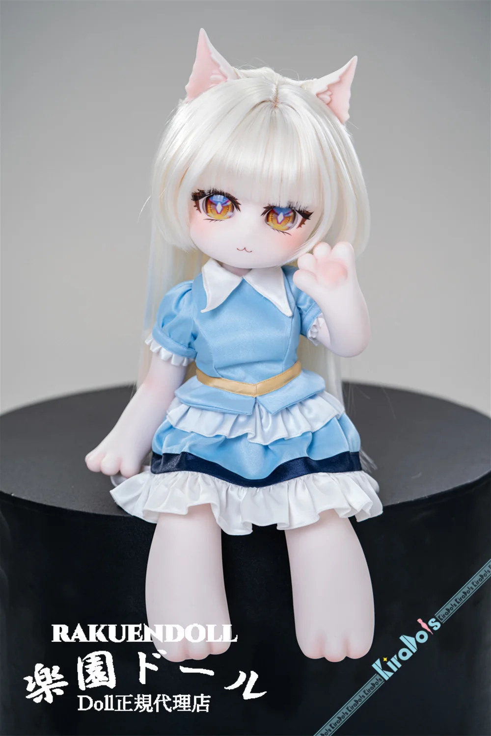 Kiradols #AW301 奇娜 （きな）ヘッド 50cm 使いやすい 猫娘 アニメ リアルドール